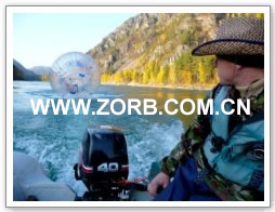 Click for more zorb ball case