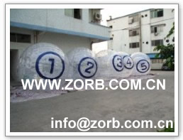 Click for more zorb ball case