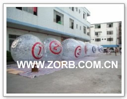 Click for more zorb ball case