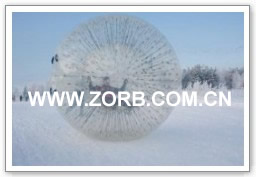 Click for more zorb ball case