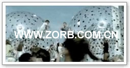 Click for more zorb ball case