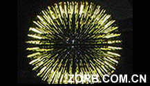 glow zorb