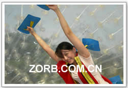 Zorb Ball, Zorb activity